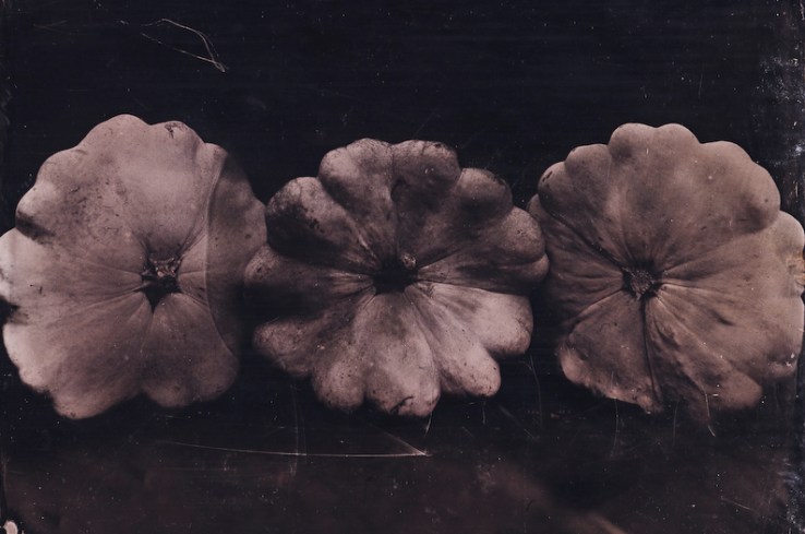 dalston Garden day 1  (1 of 4)